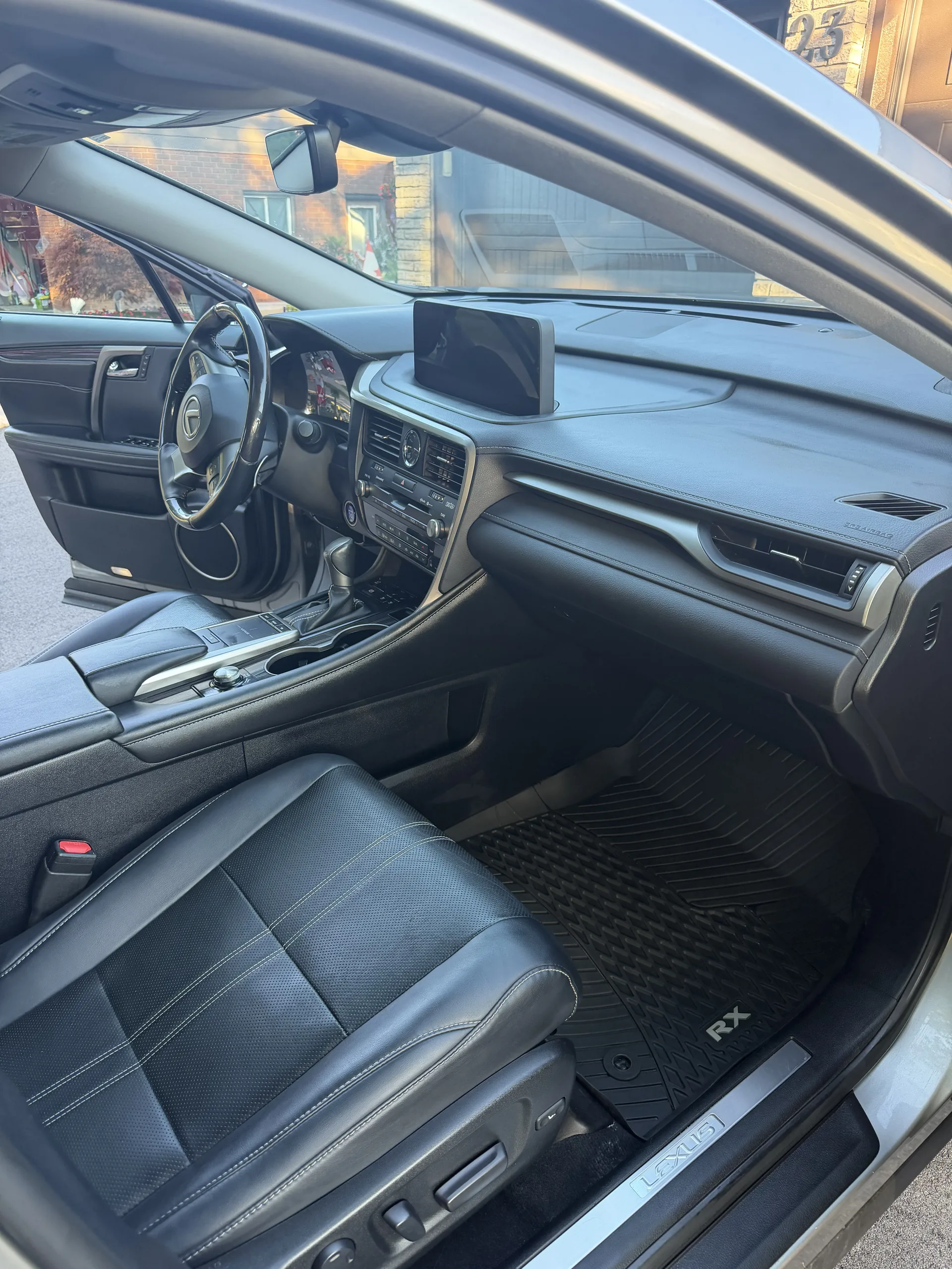Professional car detailing