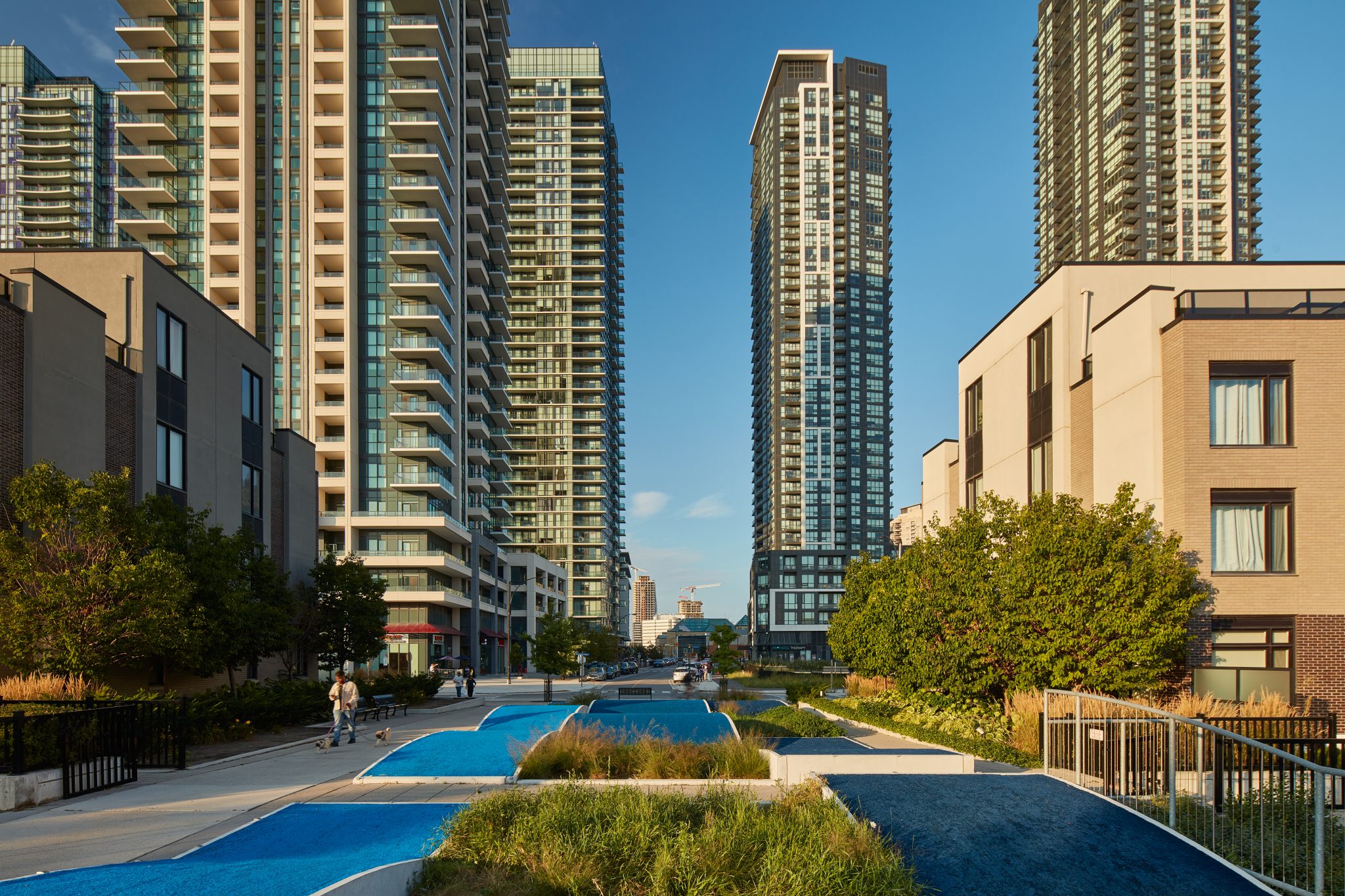 Mississauga mobile detailing