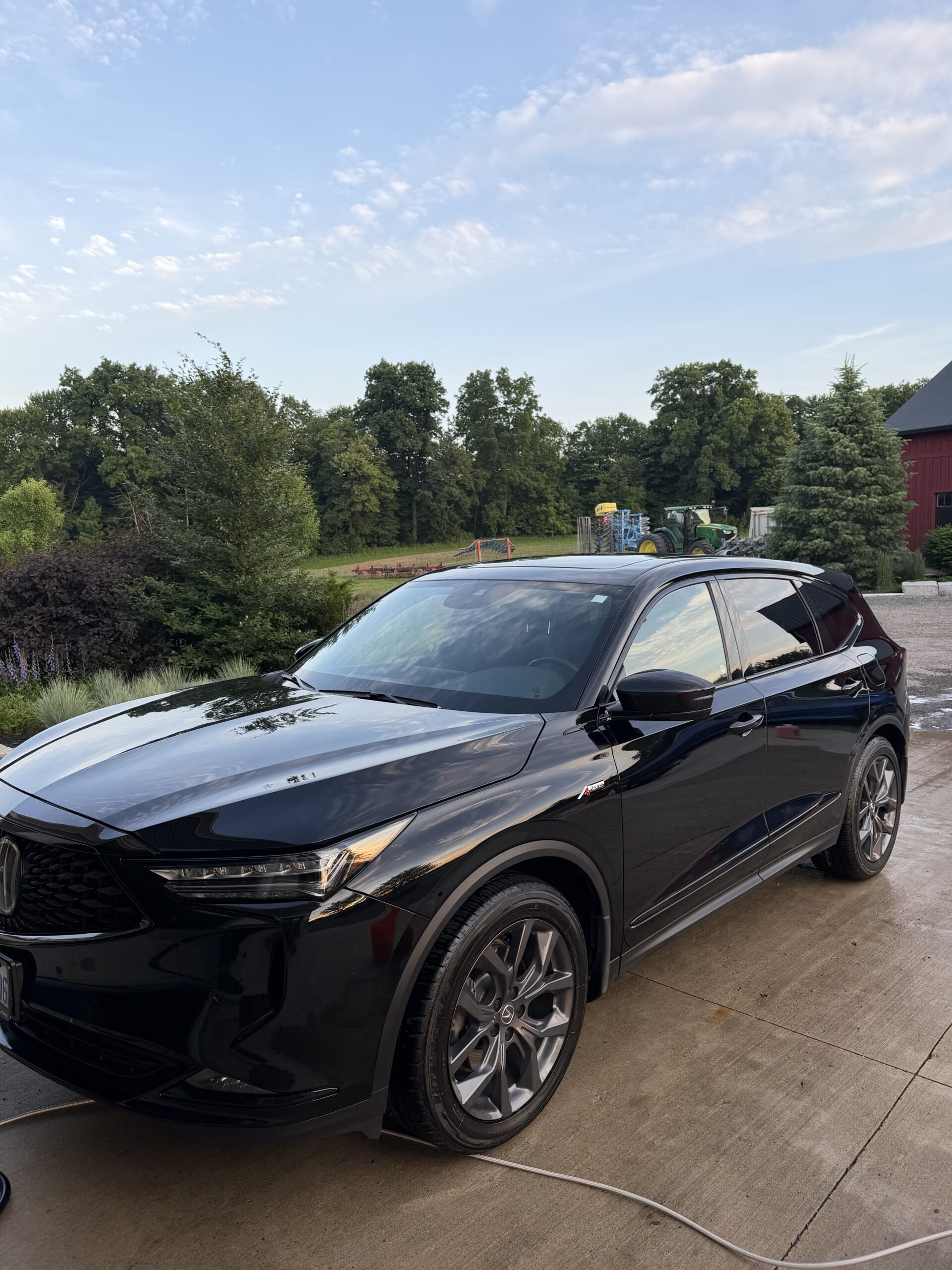 Professional mobile car detailing