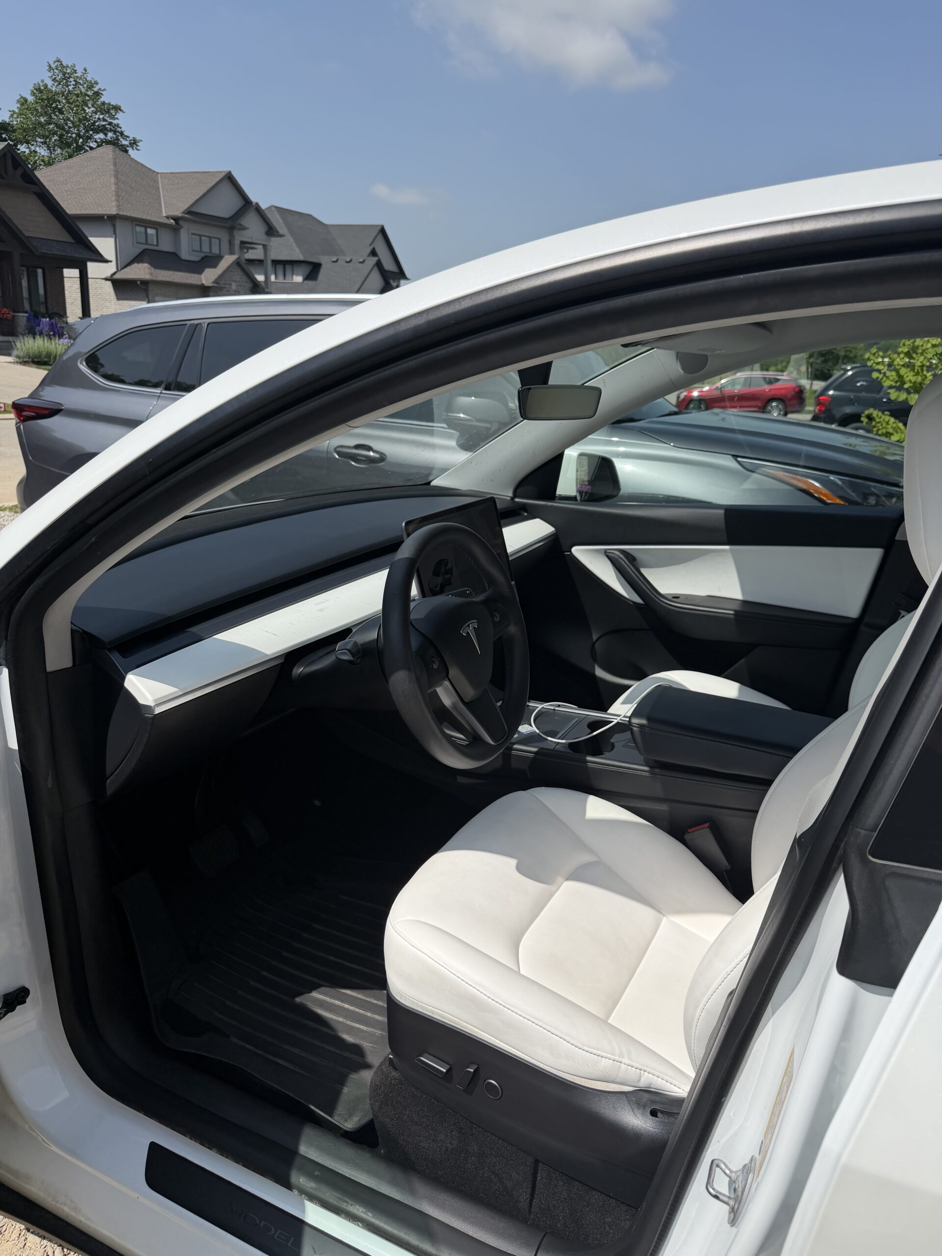 Professional car detailing